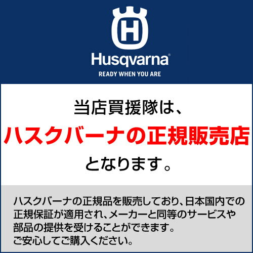 ハスクバーナ 手斧 38cm ハチェットヤンキー 700g 正規品 純正 599674401 日本限定モデル【Husqvarna 斧 薪割り キャンプ薪割り ハンドアックス アウトドア 木こりオノ 作業斧 手工具 切断 ハスク】【おしゃれ おすすめ】[CB99]