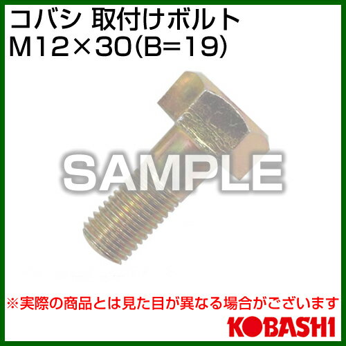 ��P5�ܡ����10�������������ۥ��Х� �ޥܥ�� M12��30 [005 0059]