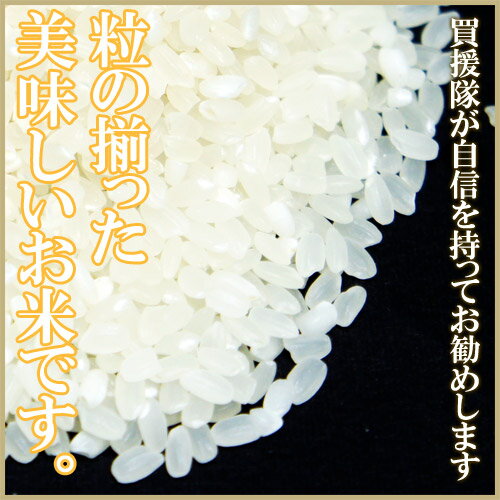 くるめ純米 ブレンド米 5kg くるめ純米【コメ お米 美味しい 地産全消 九州応援 国産 福岡県産 ブレンド米 送料無料 精米 5キロ 5kg】【おしゃれ おすすめ】[CB99]