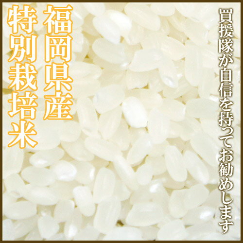 くるめ純米 夢つくし 5kg 福岡県産【コメ お米 美味しい 地産全消 九州応援 国産 福岡県産 夢つくし 送料無料 精米 5キロ 5kg】【おしゃれ おすすめ】[CB99]