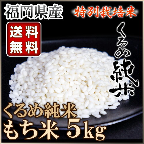 くるめ純米 もち米 5kg 【お米 美味しい 地産全消 九州応援 国産 福岡県産 餅米 鏡餅 お正月準備 餅つき もち米 送料無料 精米 5kg】【おしゃれ おすすめ】[CB99]