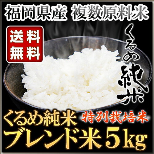 くるめ純米 ブレンド米 5kg くるめ純米【コメ お米 美味しい 地産全消 九州応援 国産 福岡県産 ブレンド米 送料無料 精米 5キロ 5kg】【おしゃれ おすすめ】[CB99]