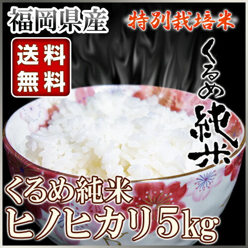 くるめ純米 ヒノヒカリ 5kg くるめ純米 【コメ お米 美味しい 地産全消 九州応援 国産 福岡県産 ヒノヒカリ 送料無料 精米 5キロ 5kg】【おしゃれ おすすめ】[CB99]