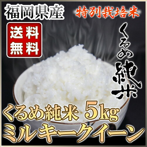 くるめ純米 ミルキークイーン 5kg 福岡県産【コメ お米 美味しい 地産全消 九州応援 国産 福岡県産 ミルキークイーン 送料無料 精米 5キロ 5kg】【おしゃれ おすすめ】[CB99]