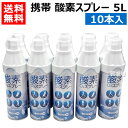 携帯酸素スプレー（5L）10本入 【酸素ボンベ 携帯 酸素スプレー 4971668060254 呼吸困難対策 酸素缶 日本製 低酸素血症対策 登山 子供 酸素吸入 マラソン バスケ サッカー スポーツ エアウォーター】【おしゃれ おすすめ】 [CB99]