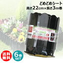 ★ポイント最大5倍&最大1000円OFFクーポン★5月1日限定★(6巻セット)どめどめシートL 高22cm×長3m巻 第一ビニール 土と芝の根 【ガーデニング ...