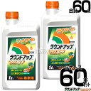《法人限定》【5ケース特価】日産化学 ラウンドアップ マックスロード 希釈 1L 60本セット 合計60L 【原液 除草剤 グリホサート 農薬 ガーデニング 雑...
