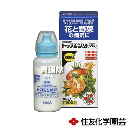 納期について：【取寄】通常3〜5日の発送予定(土日祝除く) 【殺菌剤 黒星病 菌核病 葉かび病 カビ類 糸状菌 対策 園芸 花 草花 野菜 果樹 ばら バラ 薔薇 きく 芝 トマト きゅうり ナス】 仕様 メーカー　　住友化学園芸 品名　　トップジンMゾル 30ml×60本 JANコード　　4975292600374 本体サイズ(全長×全高×全幅)　　約43×104×45mm 重量　　約0.06kg 用途　　花と野菜の病気に。 有効成分　　チオファネートメチル。 農林水産省登録第　　19783号。 性状　　褐色水和性懸濁液。 剤型　　フロアブル剤。 材質　　チオファネートメチル。 原産国　　日本国 入数　　60本 【備考】　　 かぶれやすい体質の人は取扱に十分注意してください。散布の際は農薬用マスク、手袋、長ズボン・長袖の作業衣などを着用してください。作業後は直ちに手足、顔などを石けんでよく洗い、洗眼・うがいをするとともに衣服を交換してください。 作業時に着用していた衣服等は他のものとは分けて洗濯してください。 ※本剤の使用に際しては容器をよく振ってから所定量を取り出し水に入れてよく撹拌して散布液を調製してください。本剤は長時間放置すると沈殿物を生じることがありますが、振りますと容易に元の状態に戻ります。必ず振ってから使用してください。ボルドー液、塩化銅などの無機銅剤との混用はさけてください。 ※本剤の連続使用によって薬剤耐性菌が出現し効果の劣るおそれがありますので過度の連用をさけ、なるべく作用性の異なる他の薬剤と組合せて輪番で使用してください。ぶどうに使用する場合、収穫間近の散布は果粉の溶脱や果実の汚染を生じるおそれがありますのでさけ、生育期前半の散布にとどめてください。本剤の使用に当たっては、使用量、使用時期、使用方法を誤らないように注意し、特に初めて使用する場合は、病害虫防除所または販売店と相談することが望ましいです。 ※蚕に対して影響がありますので、周辺の桑葉にはかからないように注意してください。 原液は眼に対して刺激性がありますので眼に入らないように注意してください。眼に入った場合には直ちに水洗し、眼科医の手当を受けてください。本剤は皮ふに対して弱い刺激性がありますので皮ふに付着しないように注意してください。付着した場合には直ちに石けんでよく洗い落としてください。