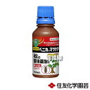 住友化学園芸 ベニカマツケア 100ml×60本 【殺虫剤 殺虫 害虫 防除 対策 家庭用 松 あかまつ くろまつ 樹木 ツツジ 松くい虫 マツノマダラカミキリ アブラムシ類】【おしゃれ おすすめ】[CB99]