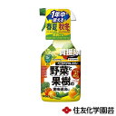 ★ポイント最大5倍&最大1000円OFFクーポン★5月1日限定★住友化学園芸 ベニカベジフルスプレー 1000ml×15本 【殺虫剤 殺虫 害虫 防除 対策 家...
