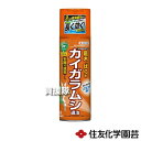 ★ポイント最大5倍&最大1000円OFFクーポン★5月1日限定★住友化学園芸 カイガラムシエアゾール 480ml 【殺虫剤 殺虫 害虫 防除 ガイガラムシ類 退...