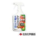 住友化学園芸 トマトの尻腐れ予防スプレー 950ml 【水溶性 カルシウム肥料 追肥 カルシウム 欠乏 不足 尻腐れ症 予防 対策 トマト とまと 用】【おしゃれ おすすめ】[CB99]