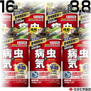 ★ポイント最大5倍&最大1000円OFFクーポン★5月1日限定★住友化学園芸 ベニカxガード粒剤 550g 16袋セット 【ベニカガード 粒タイプ 殺虫殺菌粒剤...