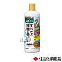 ★ポイント最大5倍&最大1000円OFFクーポン★5月1日限定★住友化学園芸 マイガーデン 液体肥料 650ml 【水でうすめる 元肥 追肥 モイスト成分 浸透...
