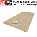 《法人限定》WPT 養生用 敷板 薄型 910×1820mm 10枚セット Diban ディバン 表面滑り止め付き DB3613 【ウッドプラスチック 敷鉄板よ...