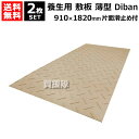 《法人限定》WPT 養生用 敷板 薄型 910×1820mm 2枚セット Diban ディバン 表面滑り止め付き DB3613 【ウッドプラスチック 敷鉄板より...