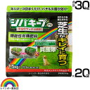★ポイント最大5倍&最大1000円OFFクーポン★5月1日限定★レインボー薬品 シバキーププロ 芝生サッチ分解剤 1.5kg×20袋 【日本芝 西洋芝 芝用肥料...
