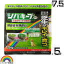 ★ポイント最大5倍&最大1000円OFFクーポン★5月1日限定★レインボー薬品 シバキーププロ 芝生サッチ分解剤 1.5kg×5袋 【日本芝 西洋芝 芝用肥料 ...