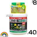 ★ポイント最大5倍&最大1000円OFFクーポン★5月1日限定★レインボー薬品 コケとーるしっかり 200ml×40本 原液 【苔 コケ 駆除剤 玄関周り コン...