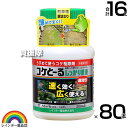 ★ポイント最大5倍&最大1000円OFFクーポン★5月1日限定★レインボー薬品 コケとーるしっかり 200ml×80本 原液 【苔 コケ 駆除剤 玄関周り コン...