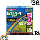 レインボー薬品 シバキーププラスV 2kg×18箱 【日本芝 高麗芝 芝生に生える雑草だけを枯らす 芝生用除草剤 除草 雑草予防 肥料入り そのまま使える 一年...