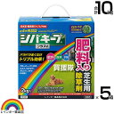 ★ポイント最大5倍&最大1000円OFFクーポン★5月1日限定★レインボー薬品 シバキーププラスV 2kg×5箱 【日本芝 高麗芝 芝生に生える雑草だけを枯らす...