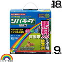 ★ポイント最大5倍&最大1000円OFFクーポン★5月1日限定★レインボー薬品 シバキーププラスV 2kg×9箱 【日本芝 高麗芝 芝生に生える雑草だけを枯らす...