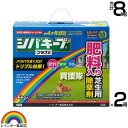 ★ポイント最大5倍&最大1000円OFFクーポン★5月1日限定★レインボー薬品 シバキーププラスV 4kg×2箱 【日本芝 高麗芝 芝生に生える雑草だけを枯らす...