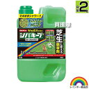 ★ポイント最大5倍&最大1000円OFFクーポン★5月1日限定★レインボー薬品 シバキープエース シャワー 2L 芝生用シャワー除草剤 【日本芝 高麗芝 芝生に...