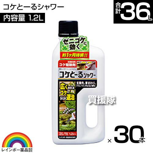 《法人限定》レインボー薬品 コケとーるシャワー 1.2L×30本 【そのまま散布するだけ シャワータイプ 苔 コケ 駆除剤 玄関周り コンクリート テラス 庭 駐車場 ベランダ 玄関先 直接スプレー 水洗い不要】【おしゃれ おすすめ】[CB99] 2