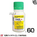 《法人限定》石原バイオサイエンス 2,4-D アミン塩 100g×60個 水稲用除草剤 【水稲 除草剤 雑草 対策 持続期間 約20日間 センチピードグラス 日本芝 安全性 雑草管理 広葉雑草 ホルモン型 吸収移行型 水田雑草 マツバイ 公園】【おしゃれ おすすめ】[CB99]