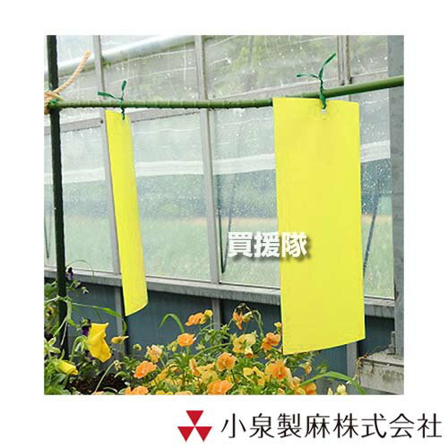 楽天市場】黄色 粘着シート 虫の通販 楽天市場】黄色 粘着シート 虫の通販