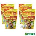 ★ポイント最大5倍&最大1000円OFFクーポン★5月1日限定★ハイポネックス マグァンプK 中粒 200g×4袋セット 【植物栽培 用 肥料土に1回混ぜ込むだ...