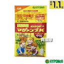 ★ポイント最大8倍＆最大1000円OFFクーポン★5/1限定★ハイポネックス マグァンプK 中粒 1.1kg 【植物栽培 用 肥料土に1回混ぜ込むだけ 長く効く 約1年間の効きめ 粒剤 植えつけ 植えかえ 土に混ぜ込む 元肥 マグネシウム配合 草花 鉢花 野菜 球根 観葉植物 ブランター HYPO