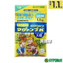 ★ポイント最大8倍＆最大1000円OFFクーポン★5/1限定★ハイポネックス マグァンプK 大粒 1.1kg 【植物栽培 用 肥料土に1回混ぜ込むだけ 長く効く 約2年間の効きめ 粒剤 植えつけ 植えかえ 土に混ぜ込む 元肥 マグネシウム配合 花木 果樹 バラ 宿根草 山野草 HYPONeX 元肥 草