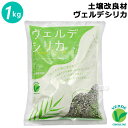 ★ポイント最大5倍&最大1000円OFFクーポン★5月1日限定★土壌改良材 ヴェルデシリカ 1kg【日本製 土壌改良資材 家庭菜園 園芸 花壇 ガーデニング プ...