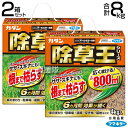★ポイント最大5倍&最大1000円OFFクーポン★5月1日限定★フマキラー カダン除草王オールキラー粒剤 4kg×2箱セット 【雑草 対策 根根まで枯らす 草 ...