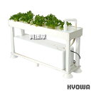 ★ポイント最大10倍&最大400円OFFクーポン★11月1日限定★《法人限定》協和ハイポニカ ホームハイポニカ PLAABO 2個セット 【2段スタンド式 葉菜用 水耕栽培キット 上段 栽培槽 下段 液肥槽 草丈 30cm程度 葉もの野菜 観葉植物 栽培 最大25株 苗 レタス ハーブ類 植物】