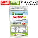 ★ポイント最大5倍&最大1000円OFFクーポン★5月1日限定★★専用スプーン付★石原バイオ シバゲンDF 20g 芝生用除草剤 【芝生 芝 シバ 日本芝 西洋...