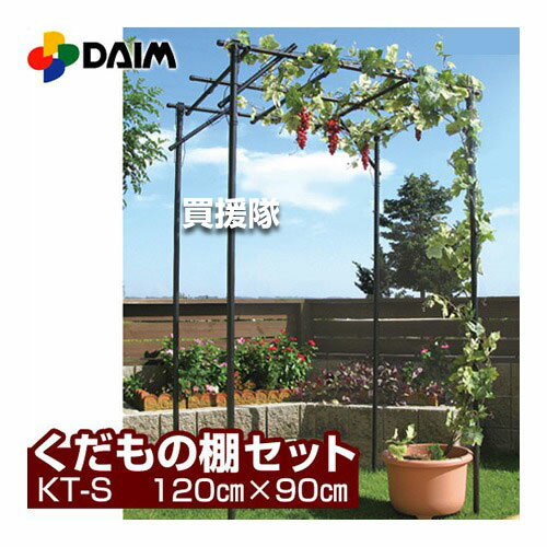 第一ビニール くだもの棚セット パ�