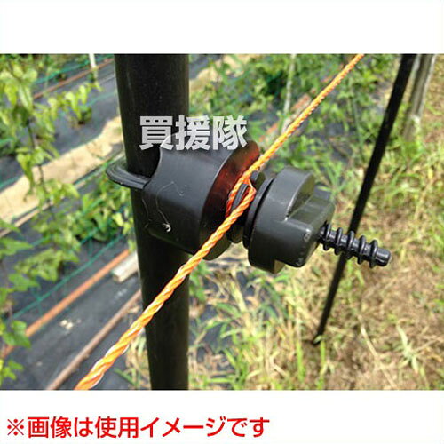 サンプル画像3