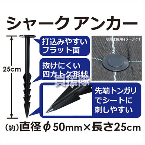 ���ӥˡ��� ���㡼�����󥫡�20P 25cm �ڥޥ�� ������ ������ ���𥷡��� �ԥ� ���� ������ ����å� �� �Ǥ����� ���󥫡��ۡڤ������ ���������[CB99]