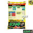 ★ポイント最大5倍&最大1000円OFFクーポン★5月1日限定★レインボー薬品 ネコソギブロックV 粒剤 5kg 【根までも枯らす 粒のまま地面にパラパラまくタ...