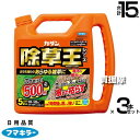 ★ポイント最大5倍&最大1000円OFFクーポン★5月1日限定★フマキラー カダン 除草王 ザッソージエース 5L×3本セット 【散布しやすいシャワータイプ 雑...