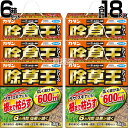 フマキラー カダン 除草王 オールキラー粒剤 3kg×6箱セット 【6ヶ月間効果が持続 雑草 対策 根根まで枯らす 草 葉 茎 雑草対策 ガーデニング 園芸 薬...