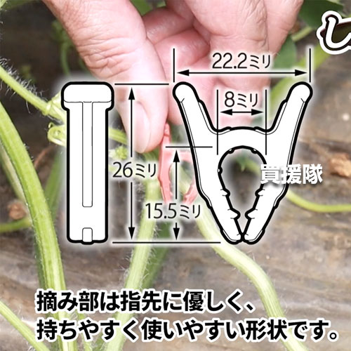シーム しるしA 500個入 青 SRA-BL05 【しるしエース スイカ すいか 西瓜 交配後 ...