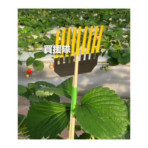 クラレトレーディング プルトラップ9 ハダニ粘着捕獲 200枚 (20枚入×10袋) 【ハウス 農業 園芸 向け 捕虫用 シート シール 虫 捕獲 虫除け 対策 無農薬 無薬品 ハダニ ナミハダニ ミカンハダニ カンザワハダニ】【おしゃれ おすすめ】[CB99]