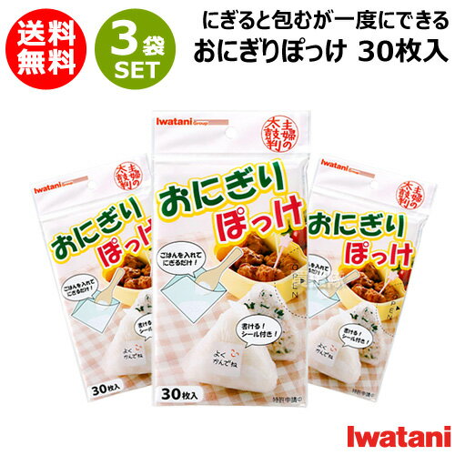 岩谷マテリアル おにぎりぽっけ 30枚入×3セット 約16×16mm ONI-P 【おにぎりシート おにぎりポッケ 素..