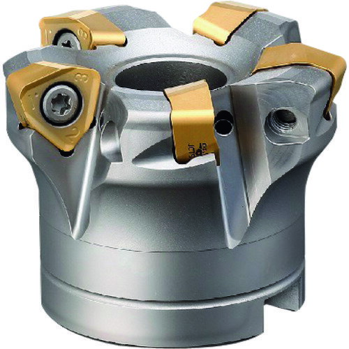 【ポイント10倍】ダイジェット 刃先交換式代高送りカッタ SKSエクストリーム ボアタイプ 6枚刃 φ80 穴径ミリサイズ EXSKS-6080R-27 【DIY 工具 TRUSCO トラスコ 】【おしゃれ おすすめ】[CB99]