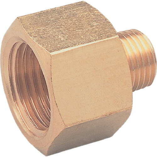 ڥݥ10ܡۥ() ASOH ۷⳰å PT1/4PT1/8 NF-1021 DIY  TRUSCO ȥ饹 ۡڤ [CB99]